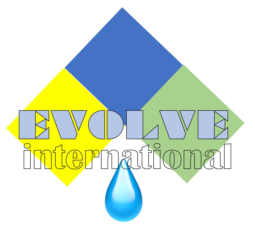 Global Evolve